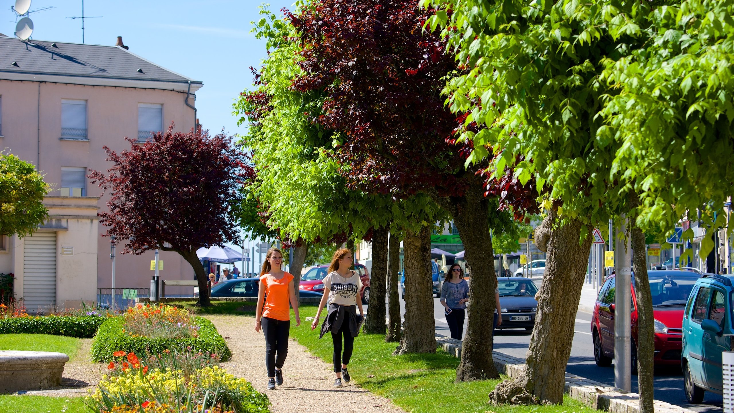 Cher mettant en vedette parc