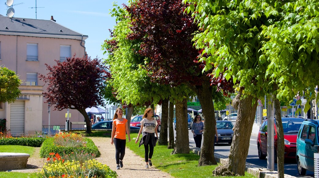 Cher mettant en vedette parc