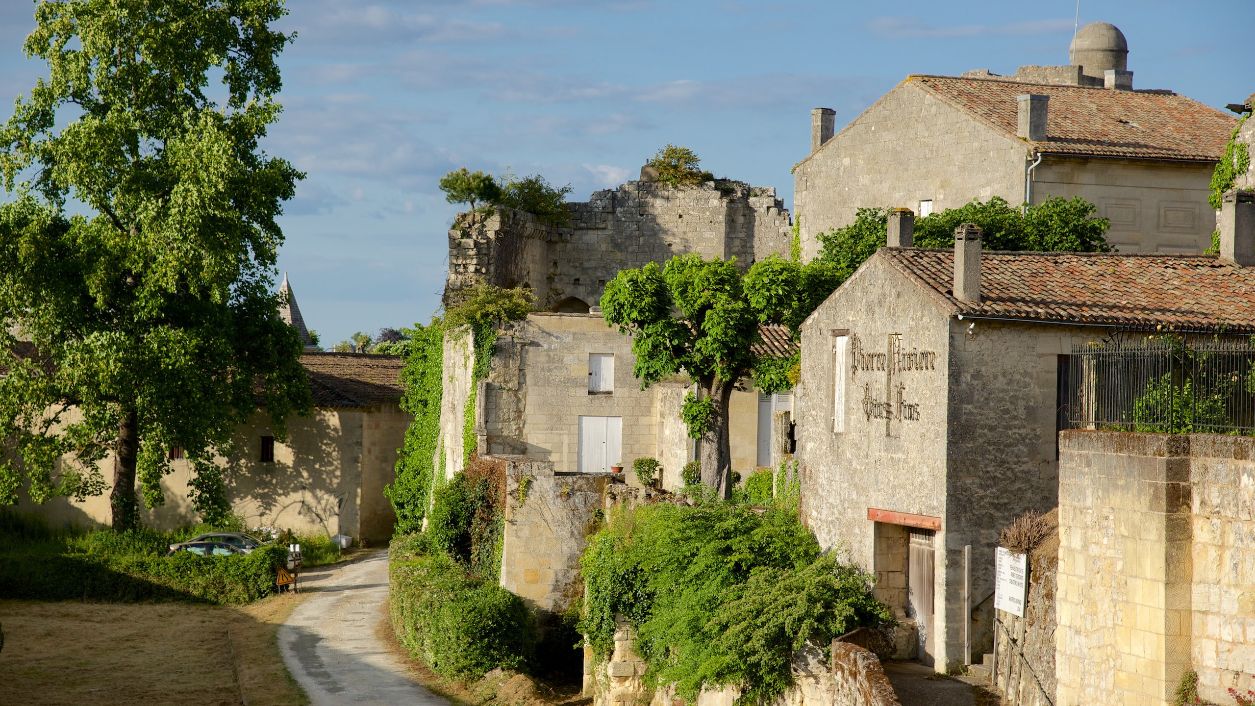 131651 Bordeaux Wine Region Area 