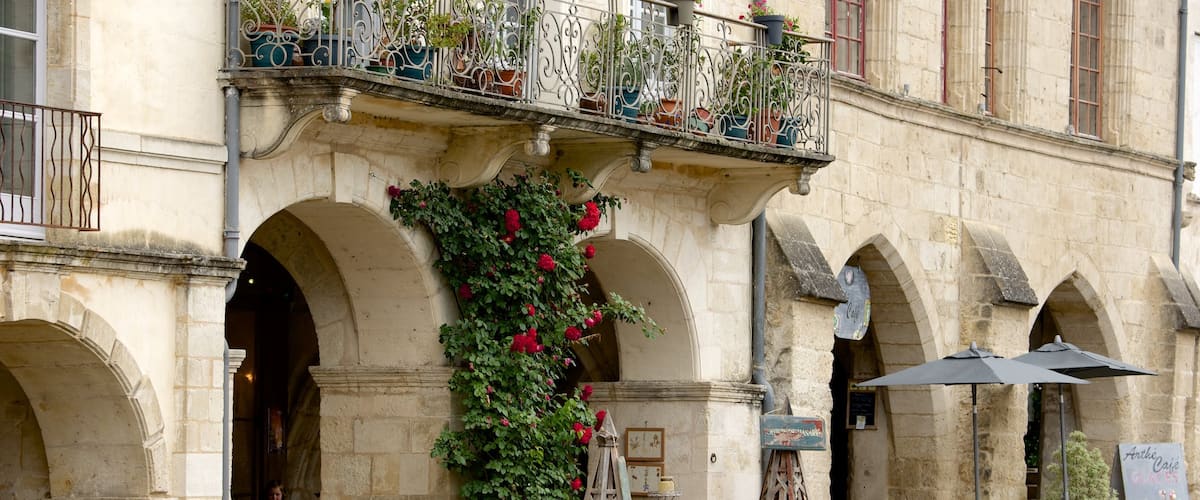 Bazas which includes flowers