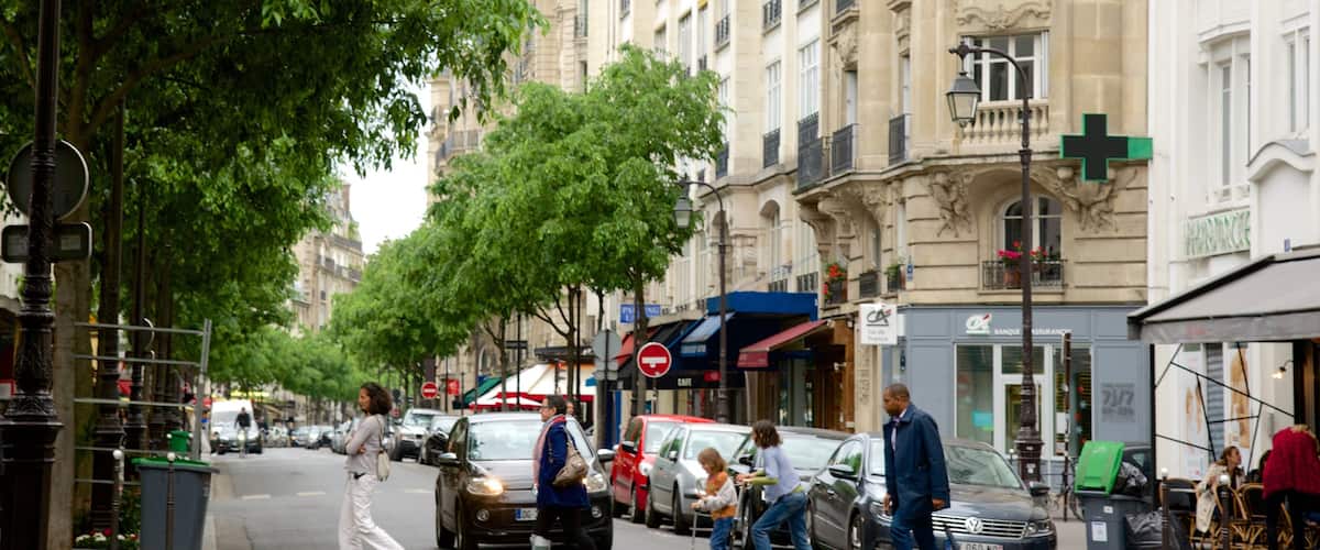 3rd Arrondissement showing street scenes and a city