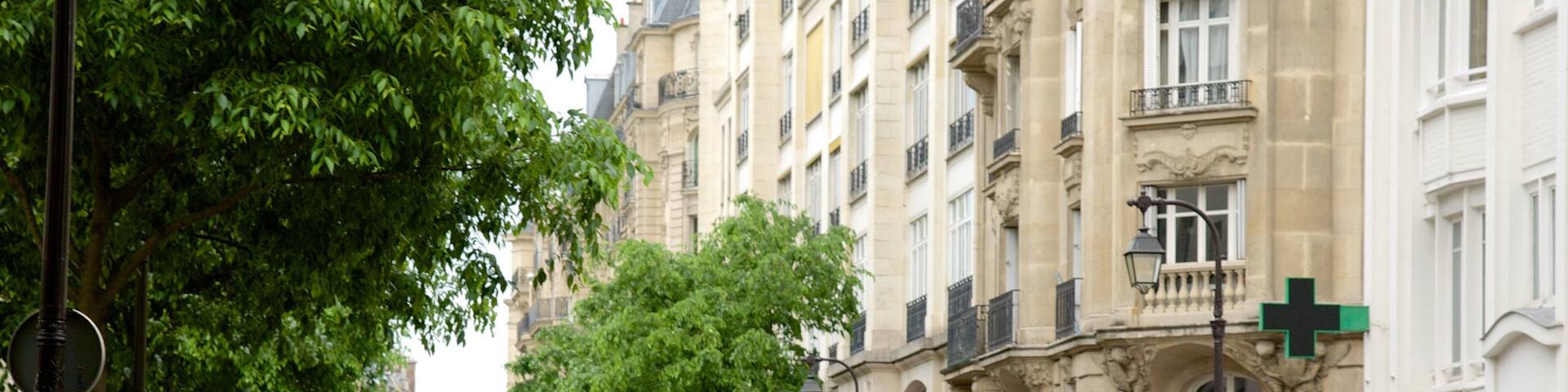 3rd Arrondissement showing street scenes and a city