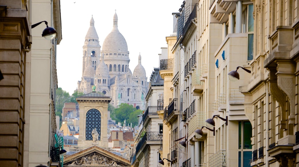 9th Arrondissement which includes a city and heritage elements