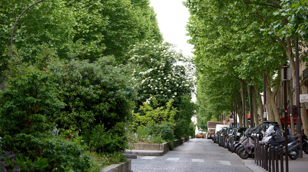 9th Arrondissement showing street scenes and a garden