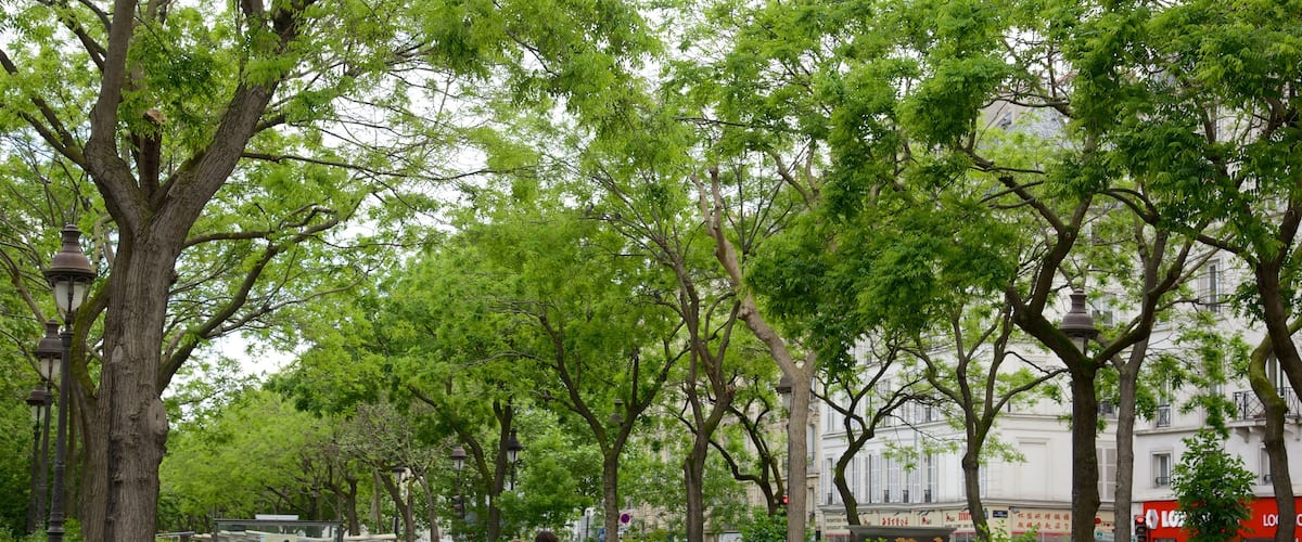 11th Arrondissement which includes a park