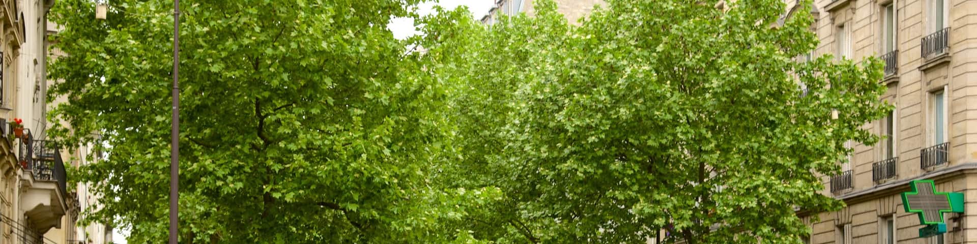 17. Arrondissement welches beinhaltet Fahrradfahren, Straßenszenen und Stadt