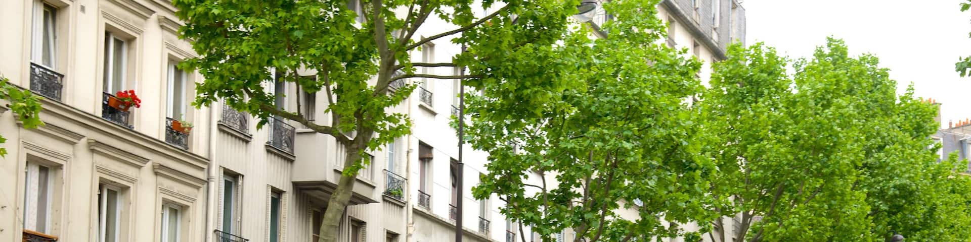 17th Arrondissement showing street scenes and a city