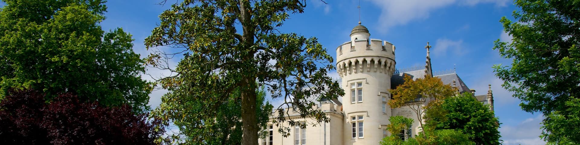 Établissement viticole Château Pape Clément qui includes château et parc