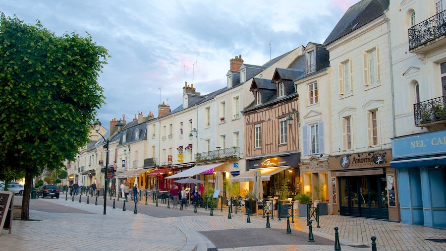 Amboise inclusief straten, een klein stadje of dorpje en cafésfeer