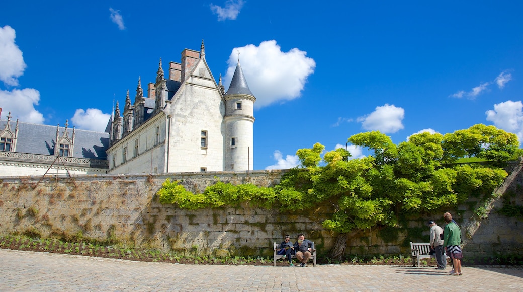 Chateau d\'Amboise showing a garden and château or palace