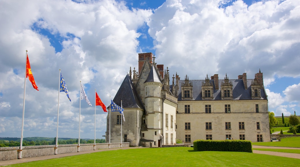 Chateau d\'Amboise mostrando parco e castello o palazzo