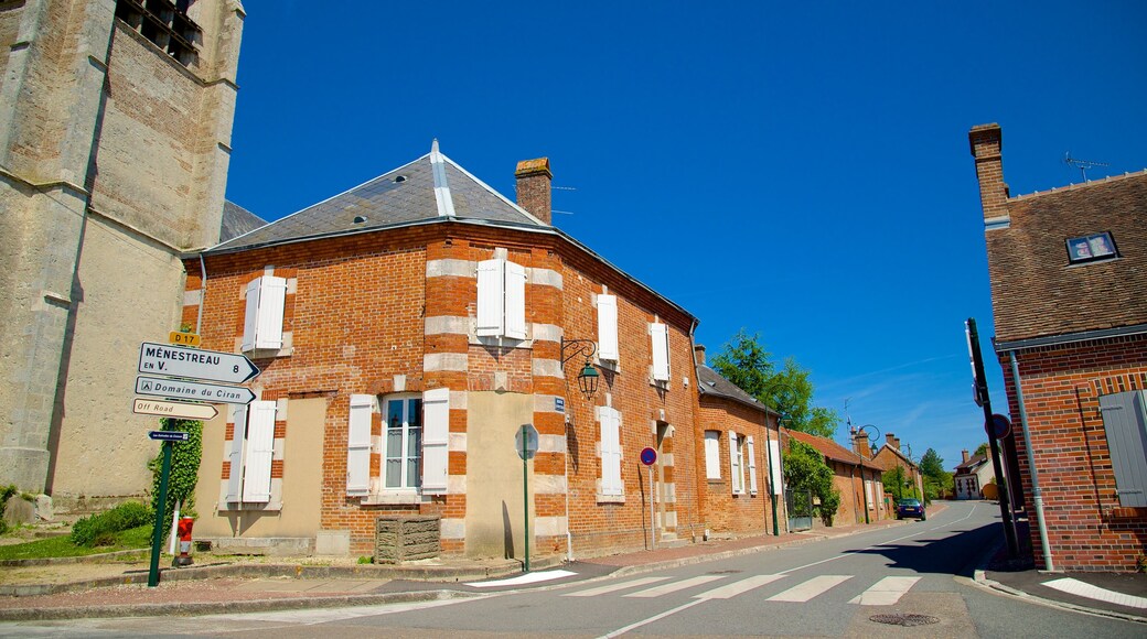 La Ferte-Saint-Aubin which includes a small town or village, street scenes and signage