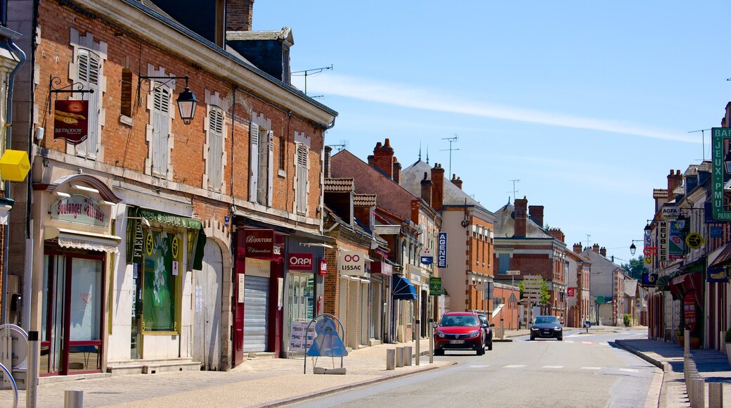 La Ferte-Saint-Aubin featuring a small town or village, heritage elements and street scenes