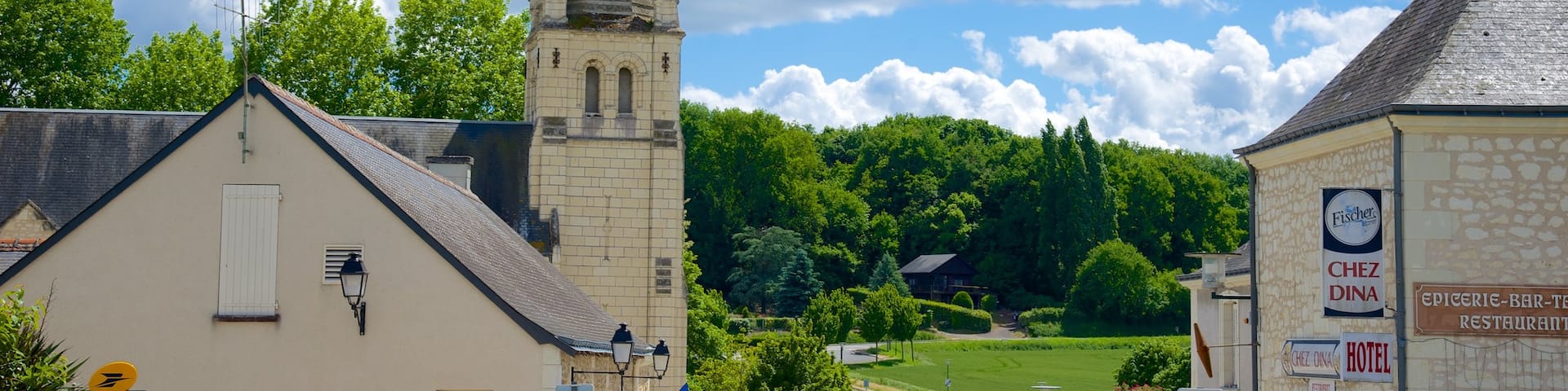 Saint-Benoit-sur-Loire featuring street scenes, heritage elements and a small town or village