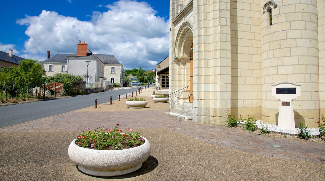 Saint-Benoit-sur-Loire featuring a church or cathedral, a small town or village and street scenes