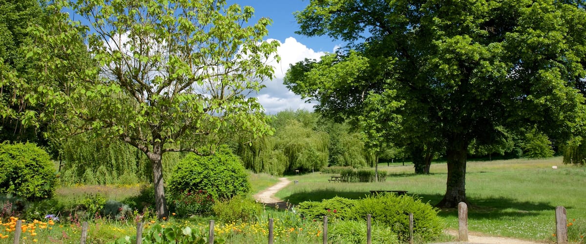 Saint-BenoĂźt-sur-Loire montrant jardin