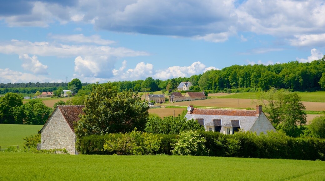 Saint-Benoit-sur-Loire som omfatter et hus og fredfyldte omgivelser