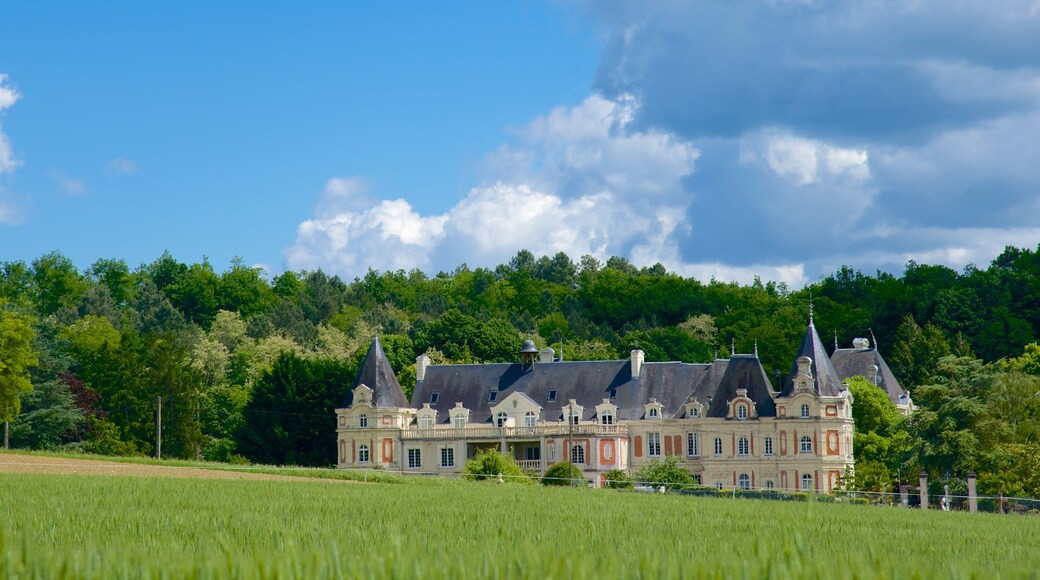 Saint-Benoit-sur-Loire which includes tranquil scenes, chateau or palace and heritage architecture
