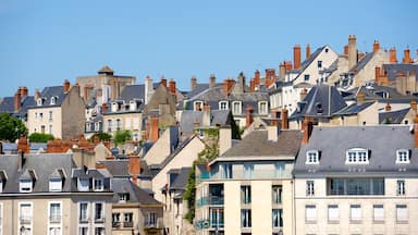 Blois showing a city