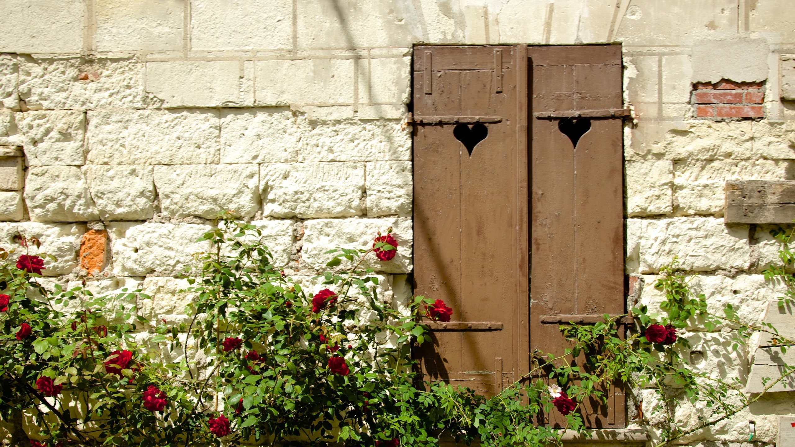 Saint-Aignan montrant fleurs