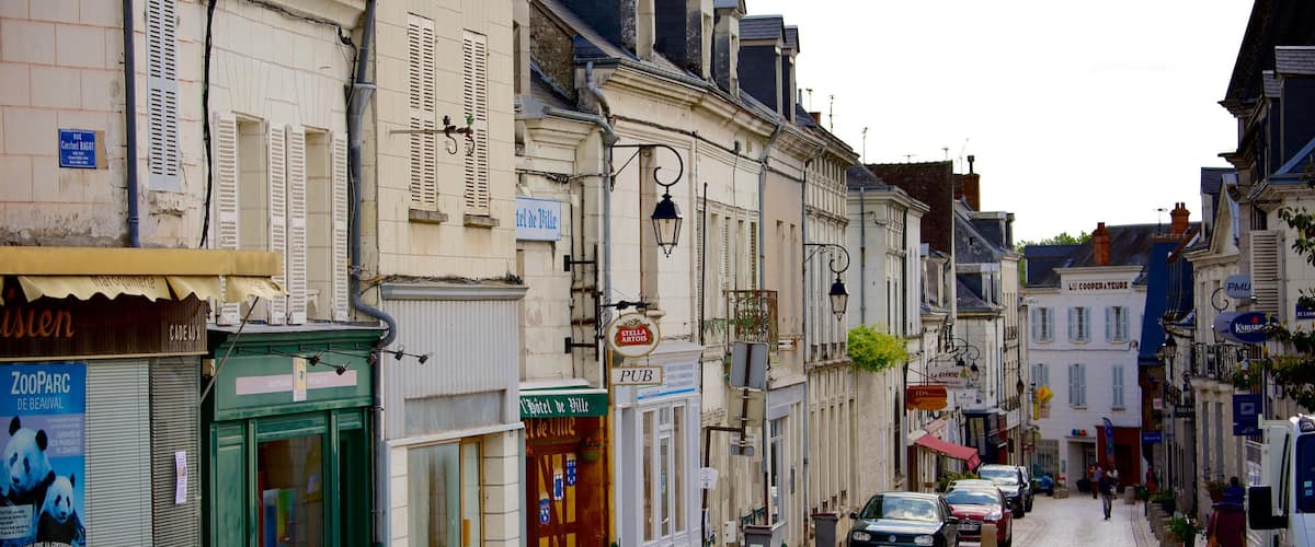 Saint-Aignan mettant en vedette petite ville ou village et scènes de rue