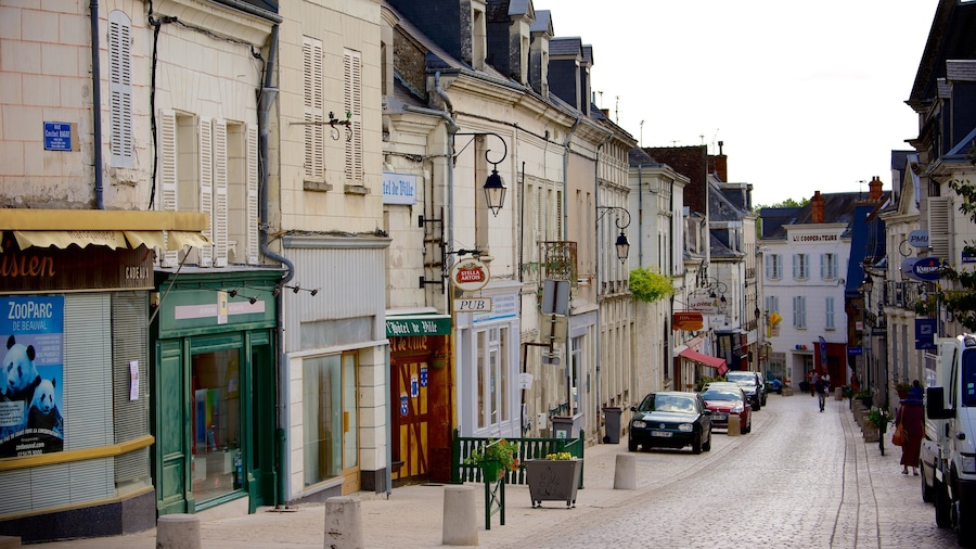 Saint-Aignan which includes street scenes and a small town or village