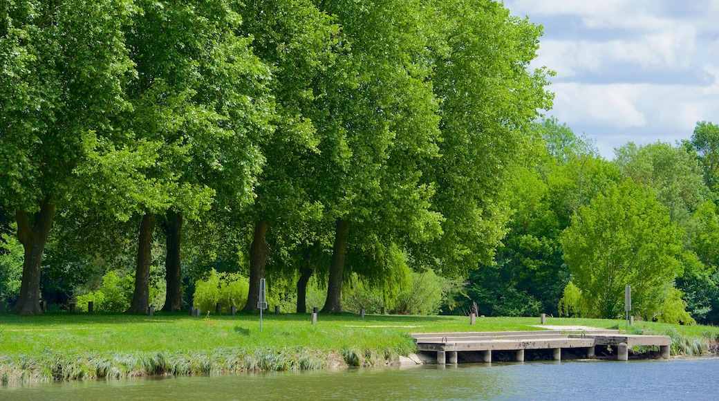 Saint-Aignan mettant en vedette jardin