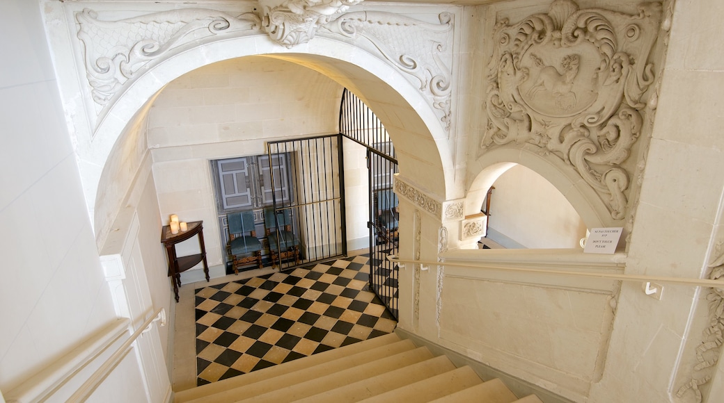 Chateau de Cheverny ofreciendo un castillo y vistas de interior