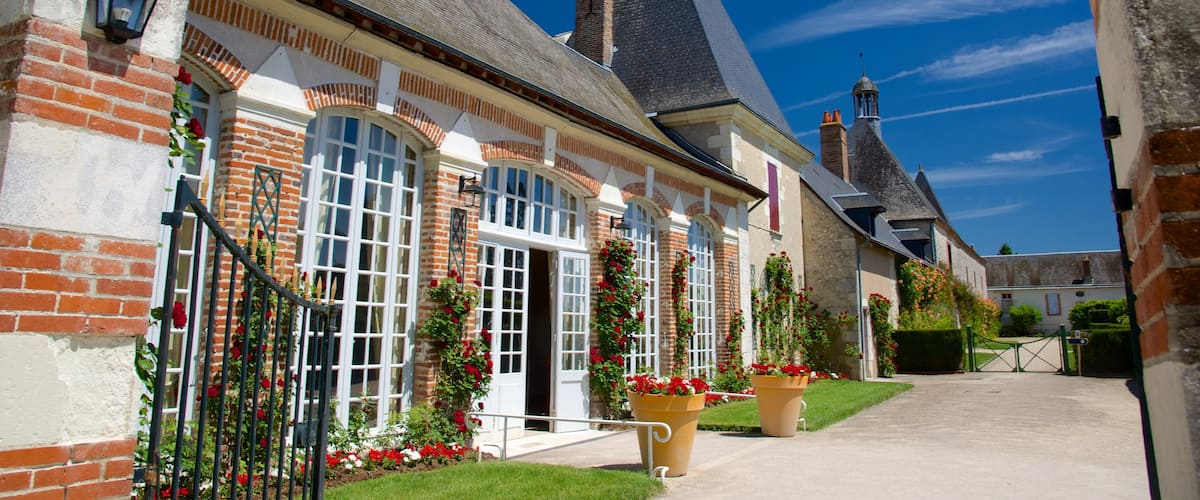 Chateau de Cheverny which includes château or palace, flowers and heritage architecture