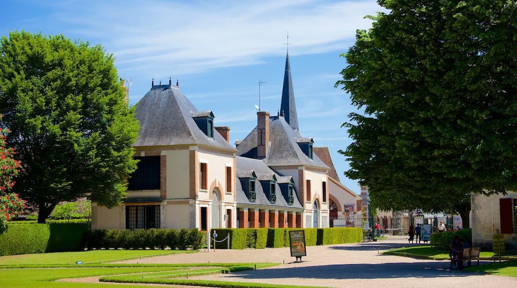 Chateau de Cheverny mostrando oggetti d\'epoca, parco e piccola città o villaggio