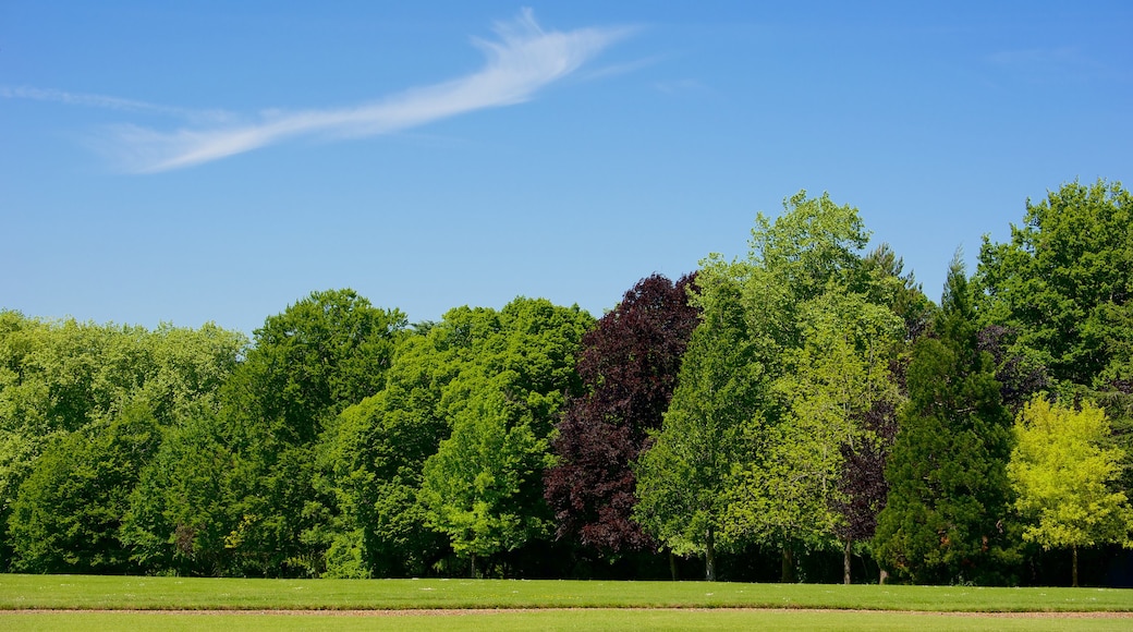 Château de Cheverny qui includes jardin