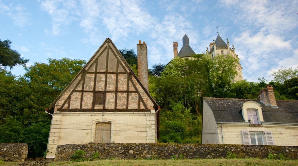 Chaumont-sur-Loire som inkluderar en liten stad eller by och ett hus