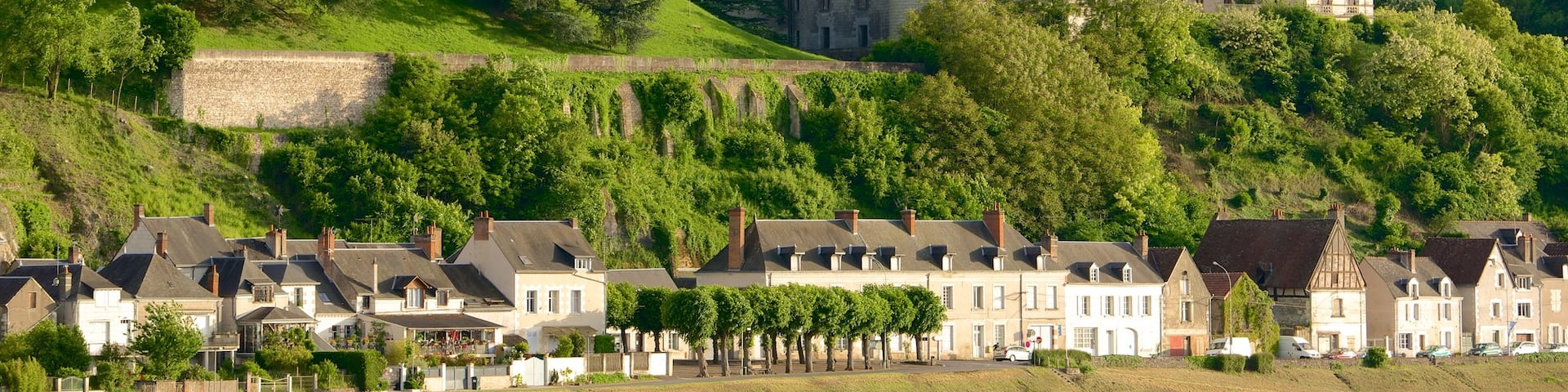 Chateau de Chaumont which includes a small town or village, tranquil scenes and a castle