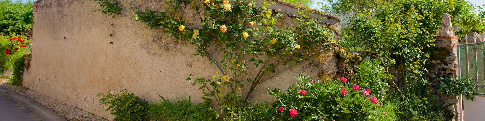 Veuves qui includes fleurs