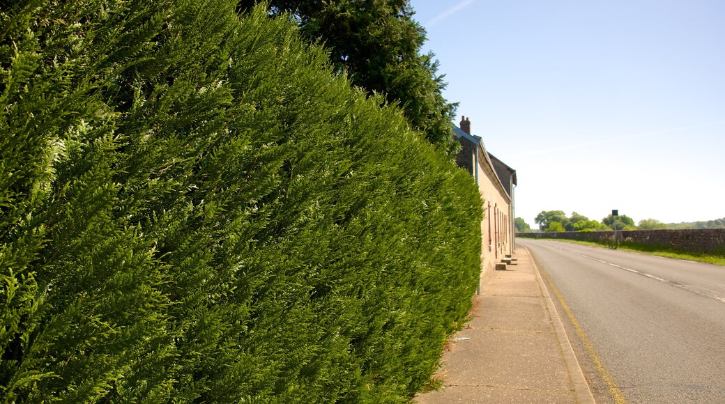 Veuves das einen Straßenszenen und Kleinstadt oder Dorf