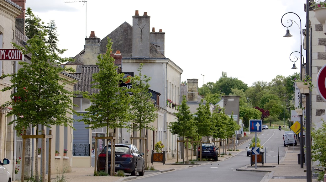 Lignieres which includes street scenes and a small town or village