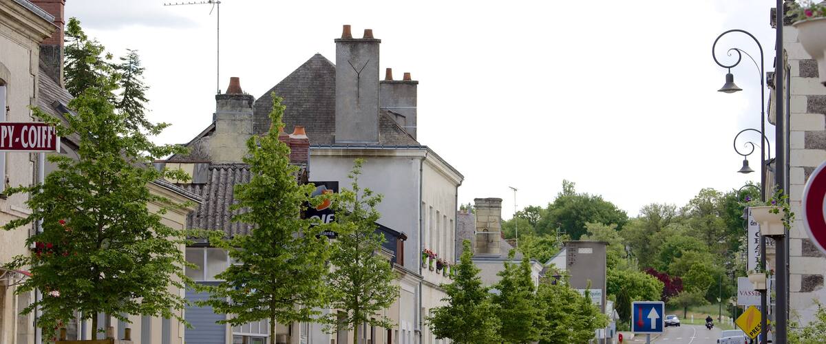 Lignieres showing a small town or village and street scenes