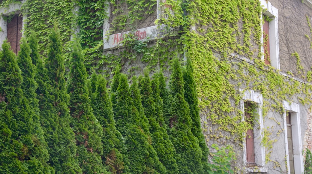 Valencay mettant en vedette hôtel et jardin