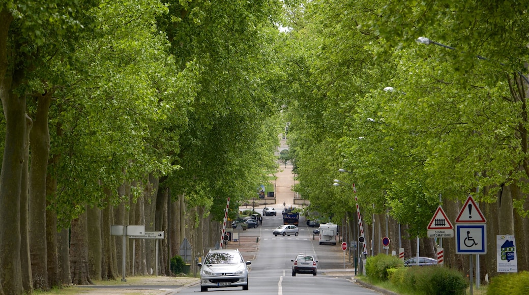 Valencay featuring street scenes and a garden