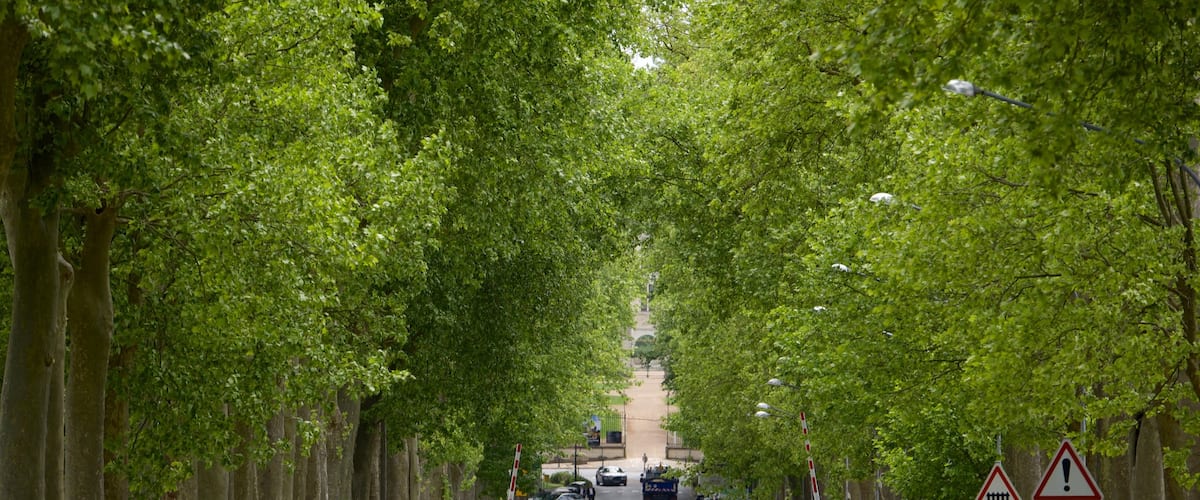 Valençay ofreciendo escenas urbanas y un parque