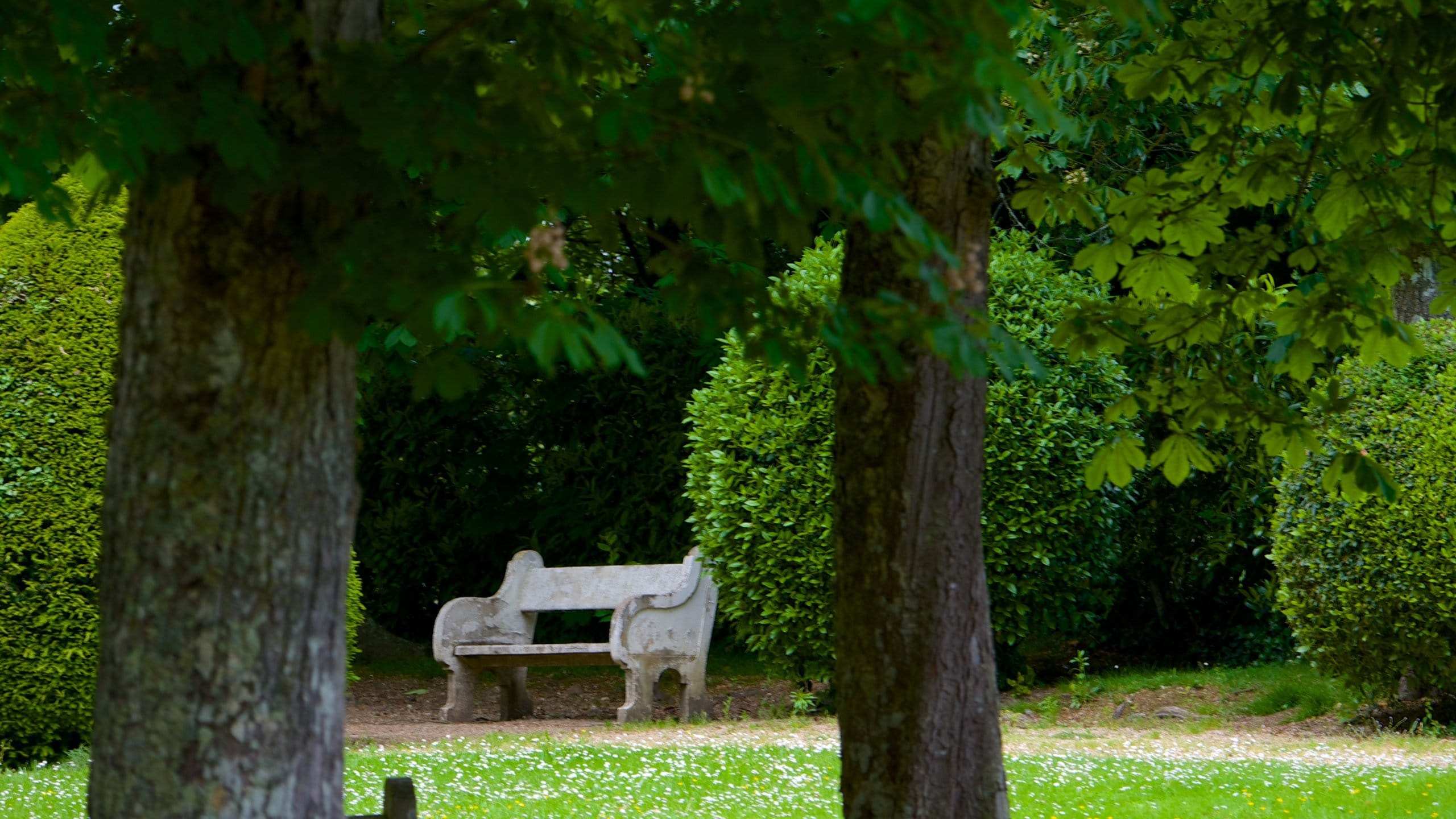 Valencay montrant parc