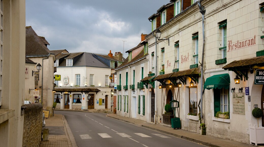 Chenonceaux showing street scenes and a small town or village