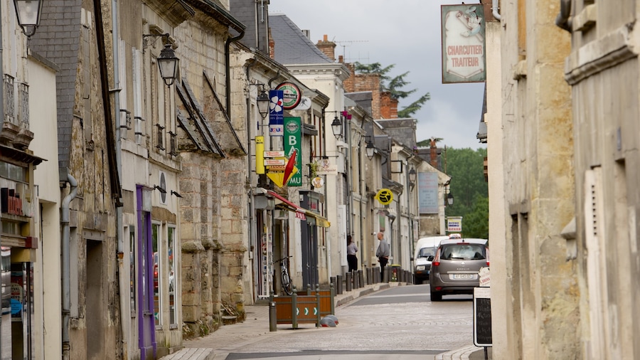 Savonnieres which includes a small town or village and street scenes