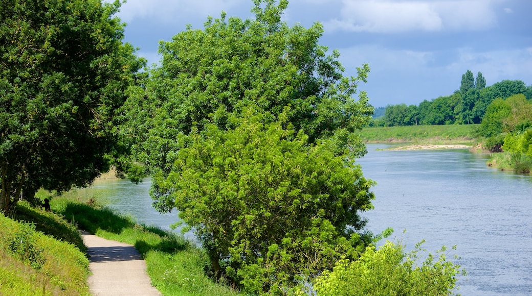 Savonnieres featuring tranquil scenes and a river or creek