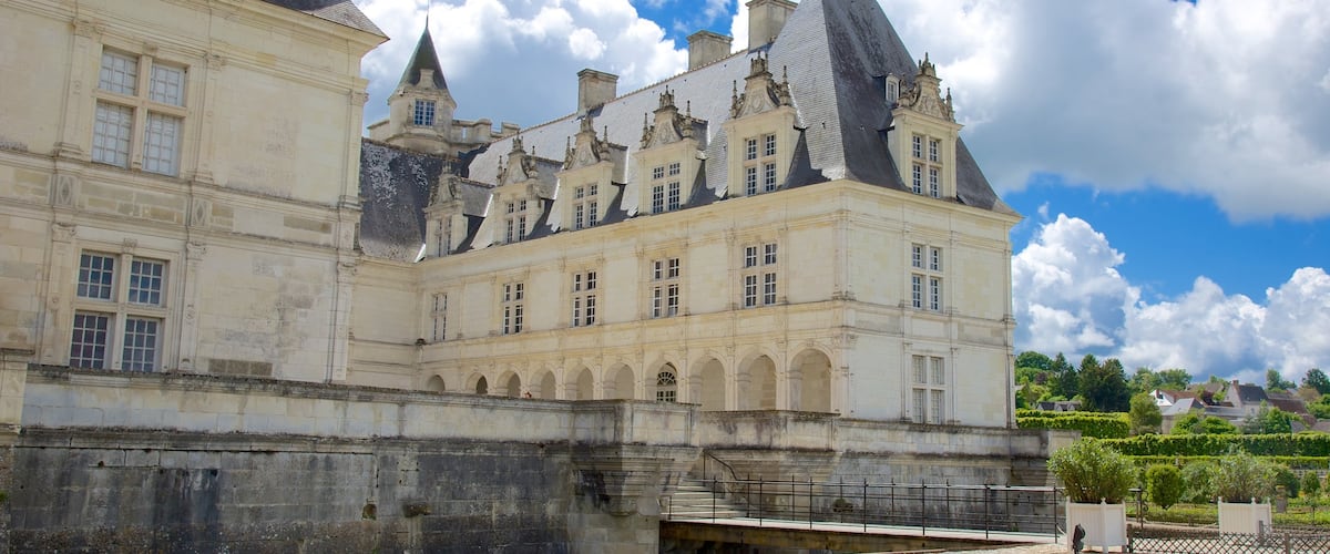 Chateau de Villandry featuring château or palace and heritage elements