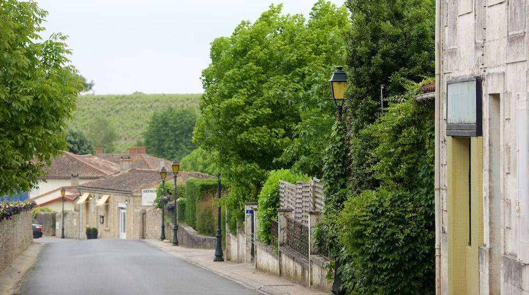 Sauternes featuring a small town or village and a garden