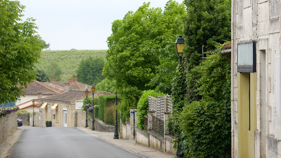 Sauternes featuring a small town or village and a park