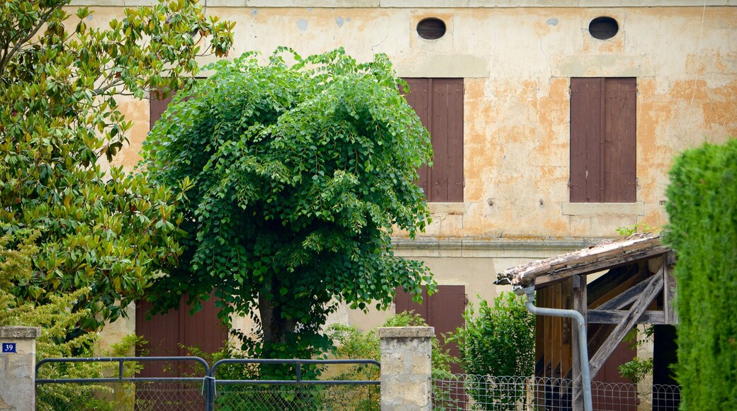Sauternes featuring a park