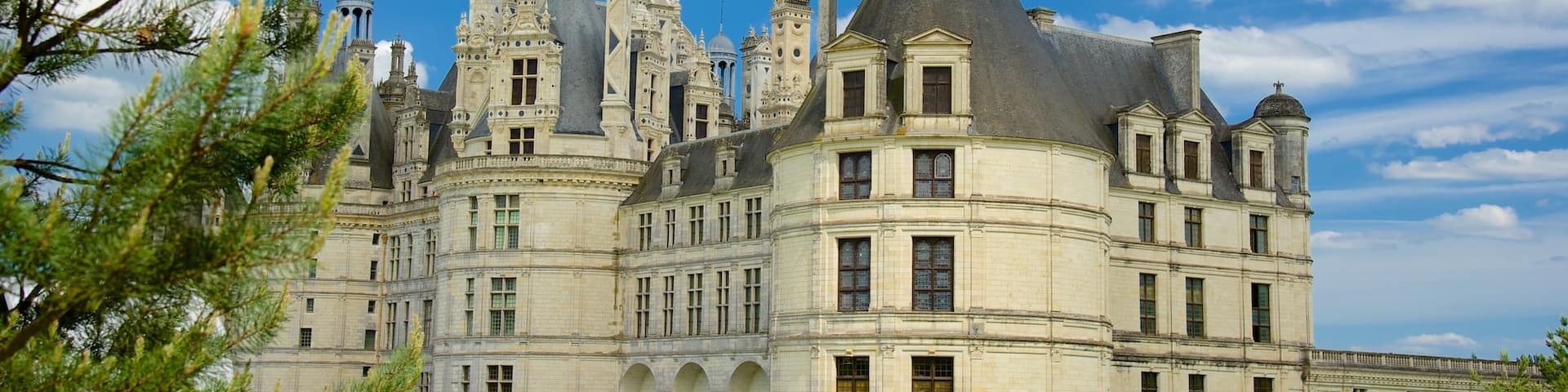 Château de Chambord qui includes château, parc et patrimoine architectural
