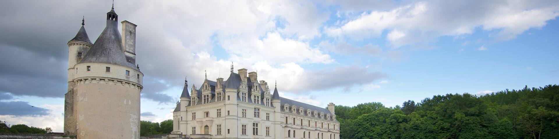 Chateau de Chenonceau featuring a park, heritage architecture and château or palace